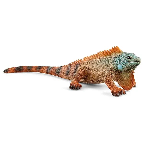 ایگوانا اشلایش Schleich