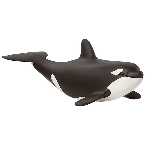 بچه نهنگ قاتل اشلایش Schleich