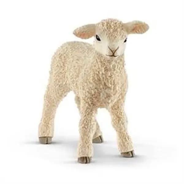 بره اشلایش Schleich — تصویر ۲
