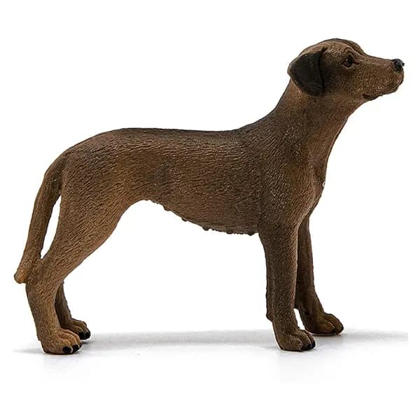 سگ رودسین ریجبک اشلایش Schleich — تصویر ۴