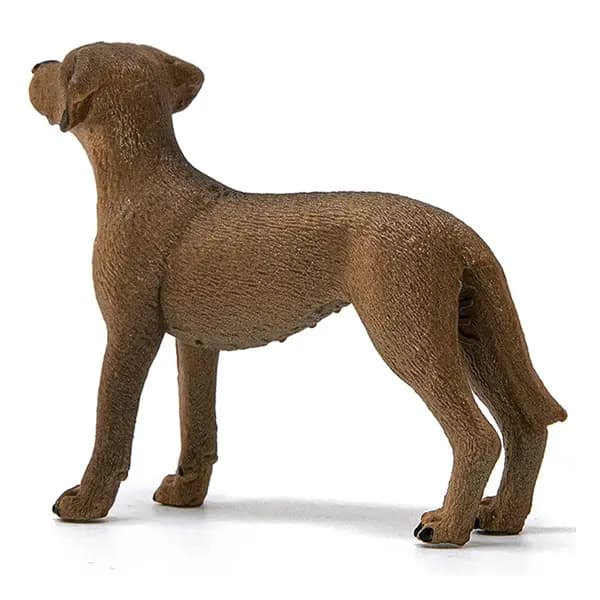 سگ رودسین ریجبک اشلایش Schleich — تصویر ۲
