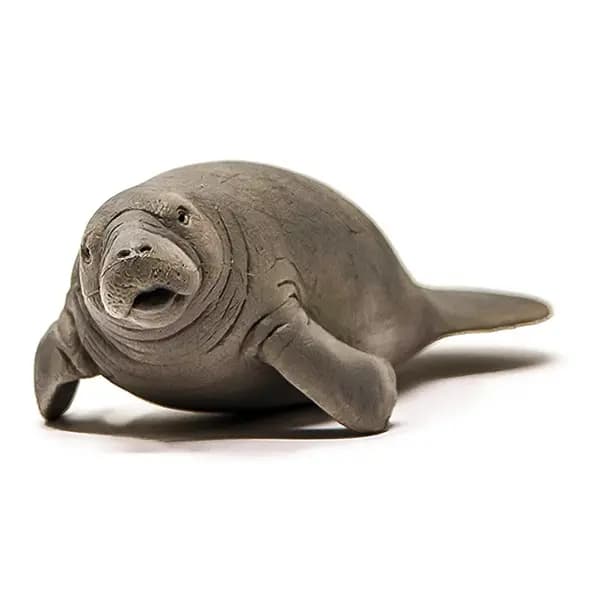 گاو دریایی اشلایش Schleich — تصویر ۴