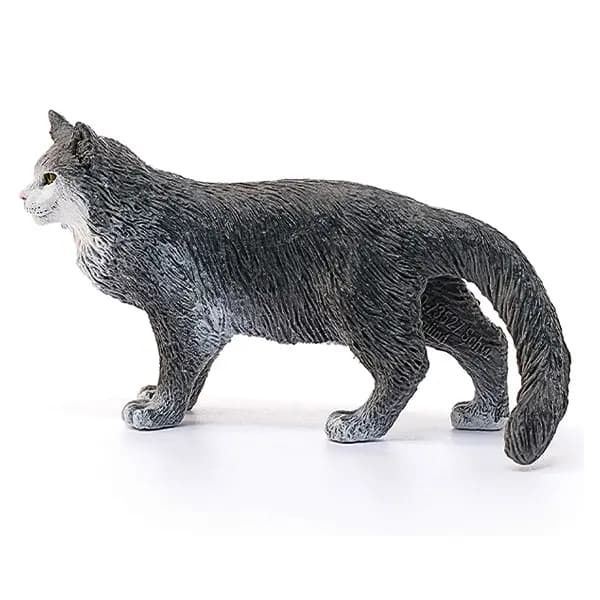 گربه مین کوون اشلایش Schleich — تصویر ۴