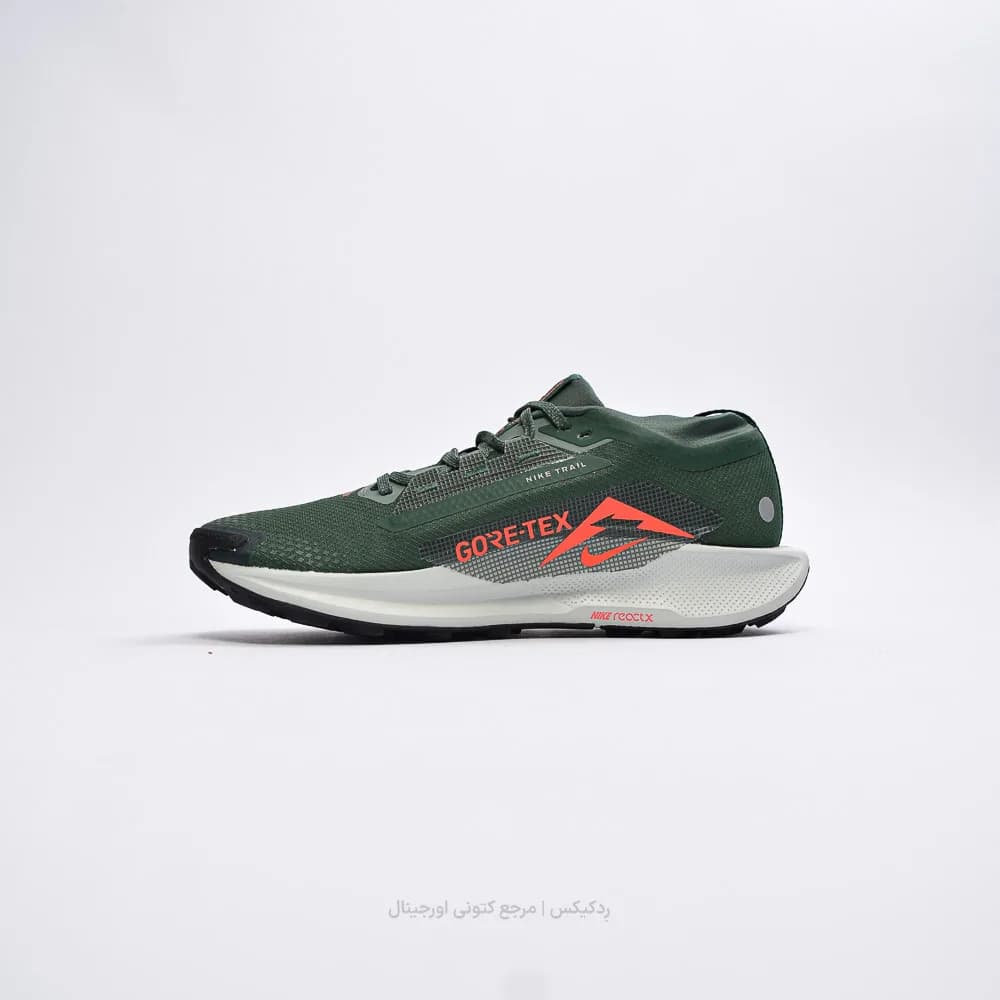 کتونی Nike مدل Pegasus Trail 5 Gore-Tex – FQ0908-301 — تصویر ۲