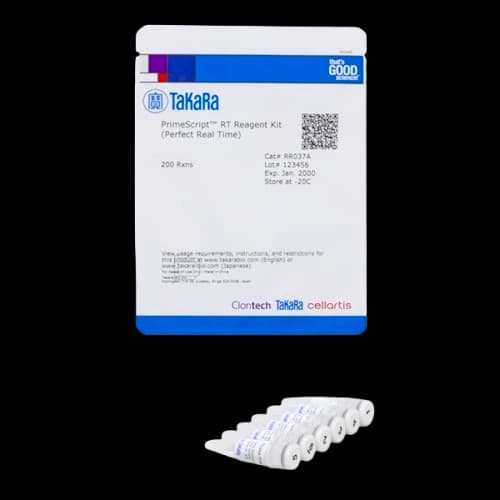 کیت سنتز cDNA مدل PrimeScript RT Reagent