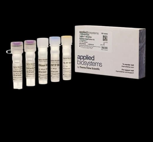 کیت سنتز cDNA مدل TaqMan MicroRNA Reverse Transcription