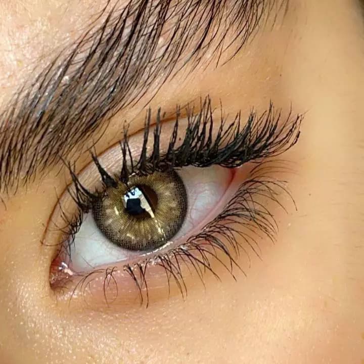 لنز سلنا کمل عسلی دور مشکی — تصویر ۳