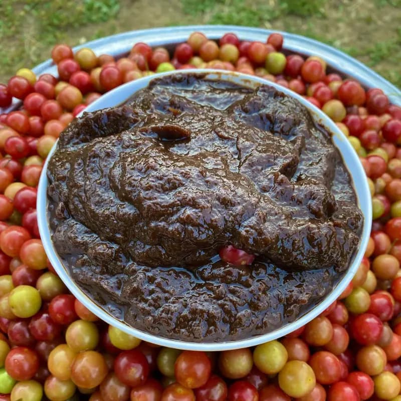 رب آلوچه ملس عالی 400 گرم
