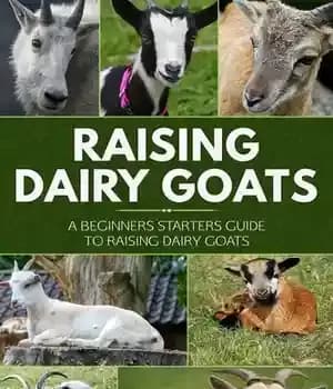 دانلود کتاب Raising Dairy Goats: A Beginners Starters Guide to Raising Dairy Goats – پرورش بزهای شیری: راهنمای مبتدیان برای…