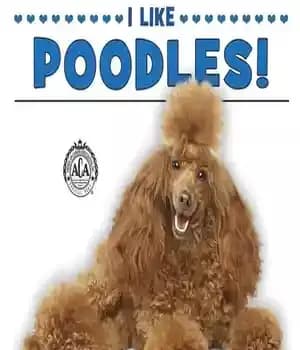 دانلود کتاب I Like Poodles! – من پودل را دوست دارم!