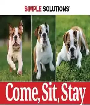 دانلود کتاب Come, Sit, Stay – بیا، بنشین، بمان