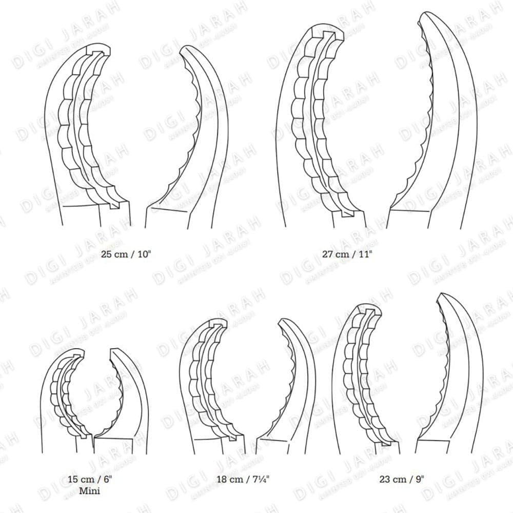 استخوانگیر اولریخ مستقیم JO-21-827 surgicon 23cm — تصویر ۲