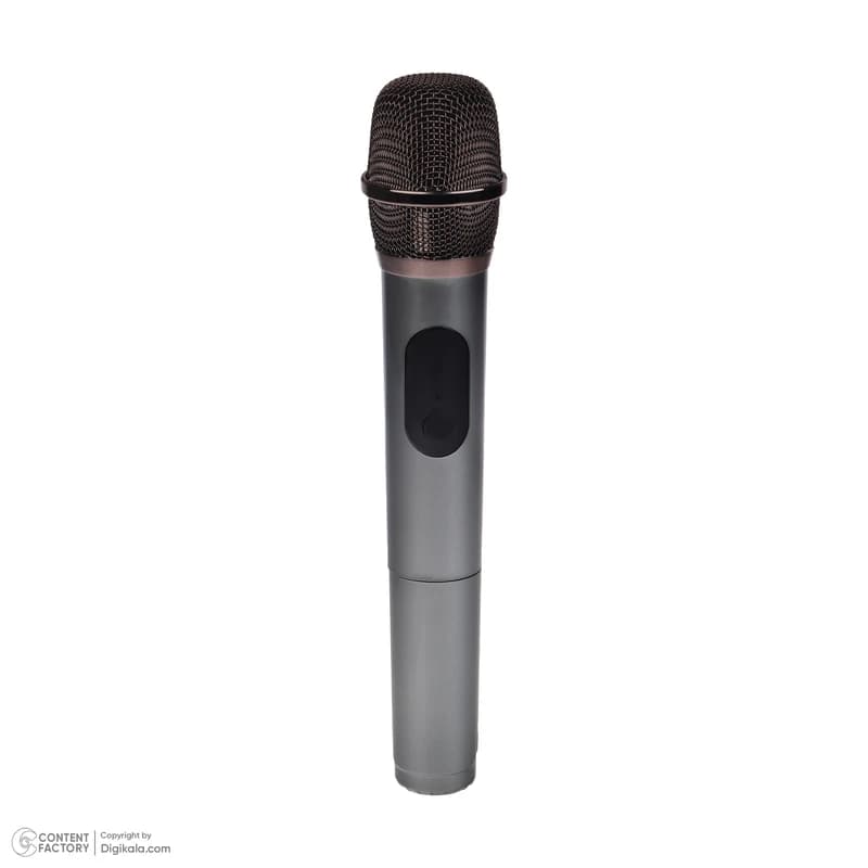 اسپیکر بلوتوثی قابل حمل اکسیژن OXYGEN مدل AX-100 — تصویر ۳