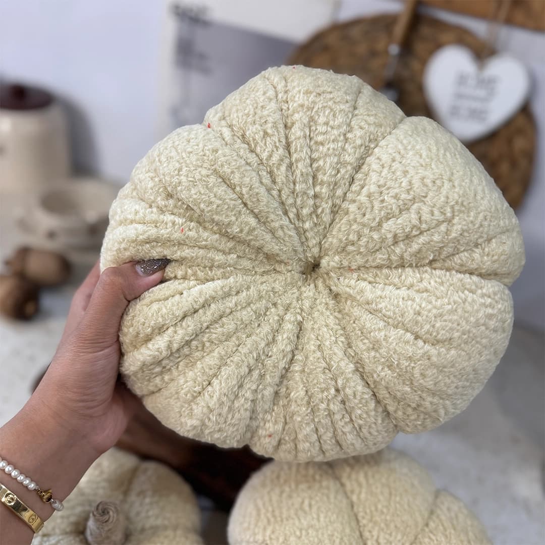کدو پاییزی تدی شیری — تصویر ۴