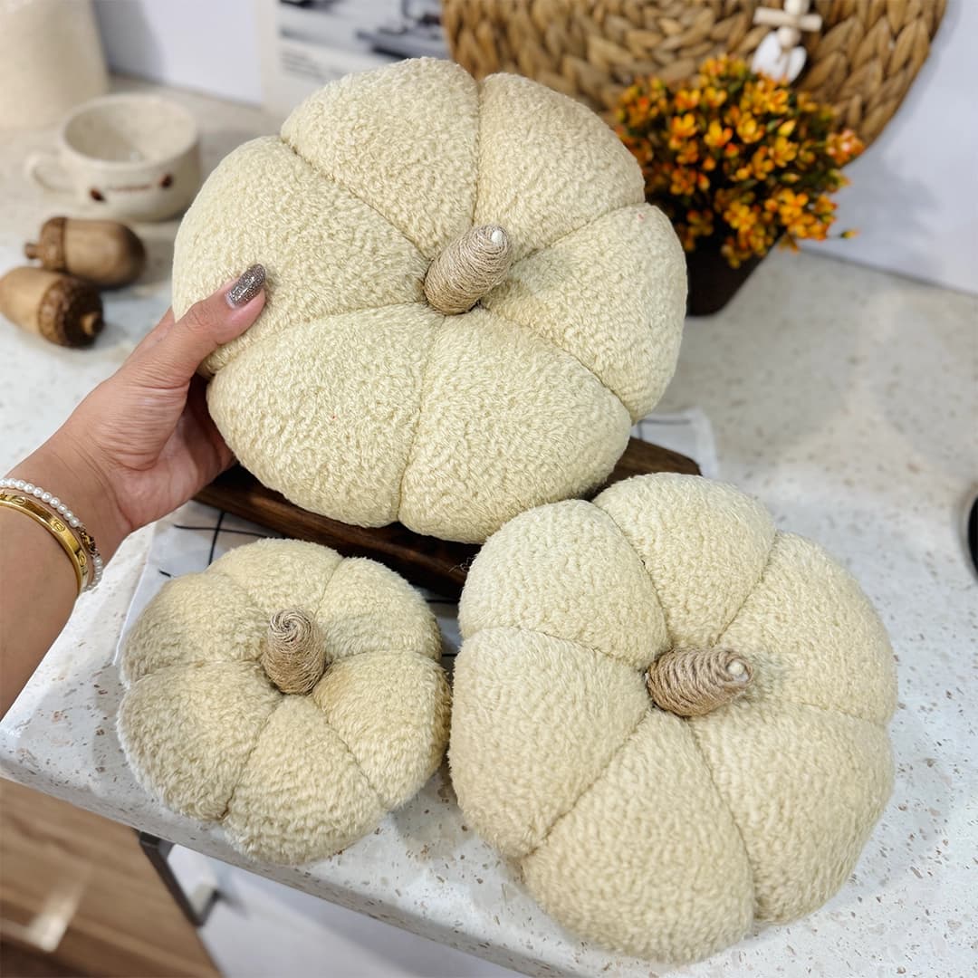 کدو پاییزی تدی شیری — تصویر ۳