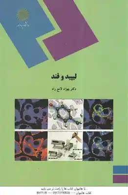 لیپید و قند ( بهزاد لامع راد ) — تصویر ۲