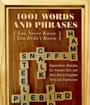 دانلود کتاب 1,001 Words and Phrases You Never Knew You Didn’t Know: Hopperdozer, Hoecake, Ear Trumpet, Dort, and Other Nearly…