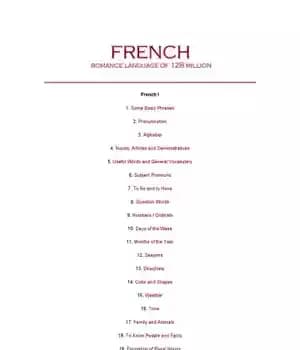 دانلود کتاب Learning French. Roman Language of 128 million – یادگیری زبان فرانسه. زبان رومی 128 میلیون