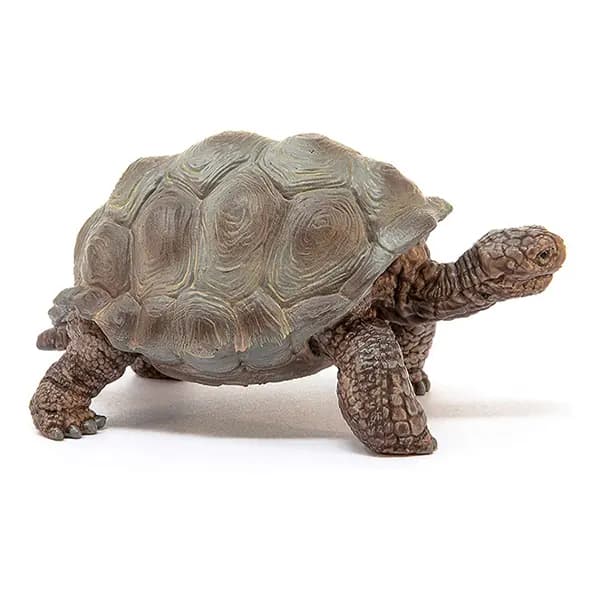لاک پشت غول پیکر اشلایش Schleich — تصویر ۲