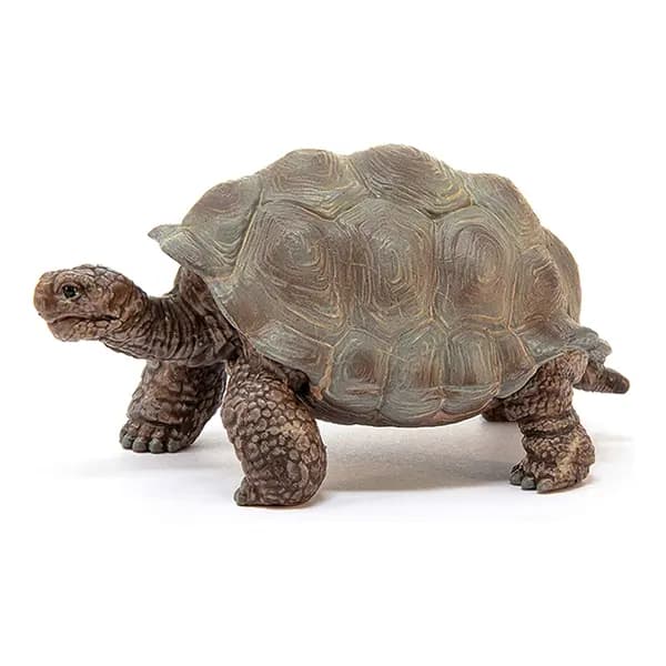 لاک پشت غول پیکر اشلایش Schleich — تصویر ۴