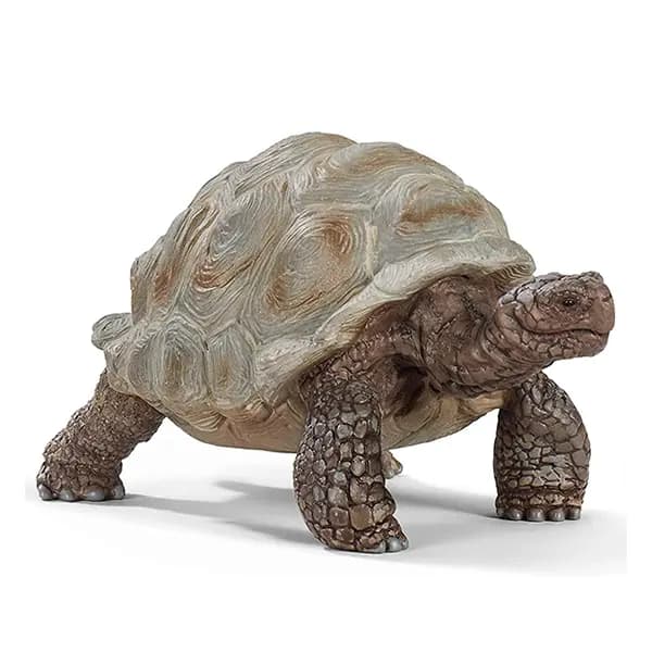 لاک پشت غول پیکر اشلایش Schleich