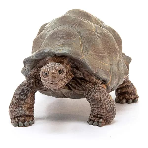 لاک پشت غول پیکر اشلایش Schleich — تصویر ۳