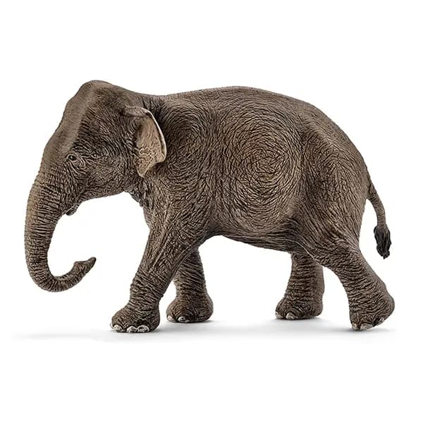 فیل آسیایی ماده اشلایش Schleich