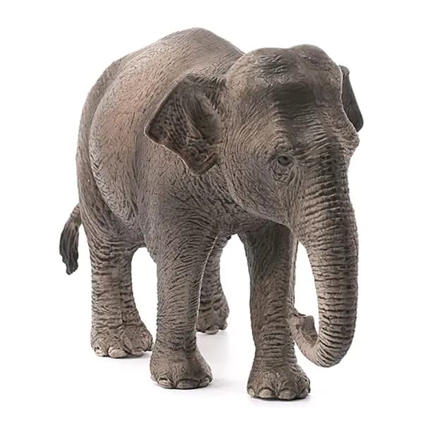 فیل آسیایی ماده اشلایش Schleich — تصویر ۴