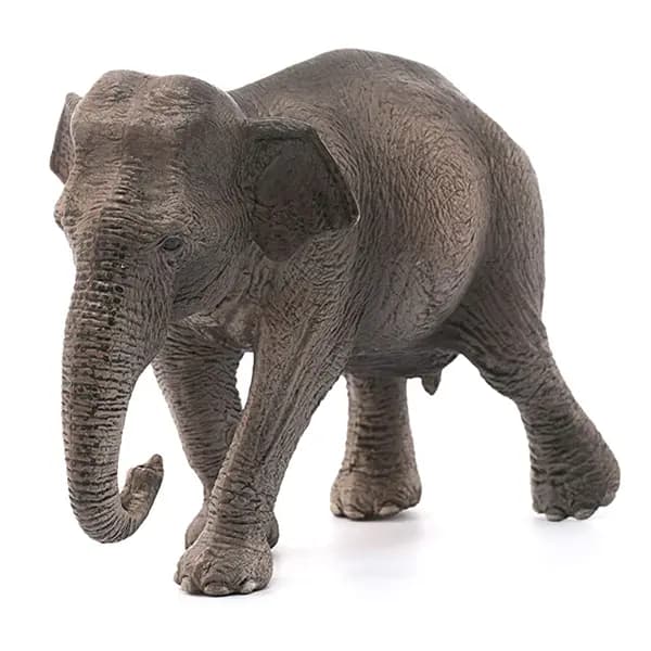 فیل آسیایی ماده اشلایش Schleich — تصویر ۳