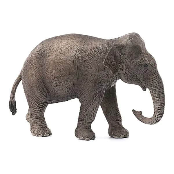 فیل آسیایی ماده اشلایش Schleich — تصویر ۲