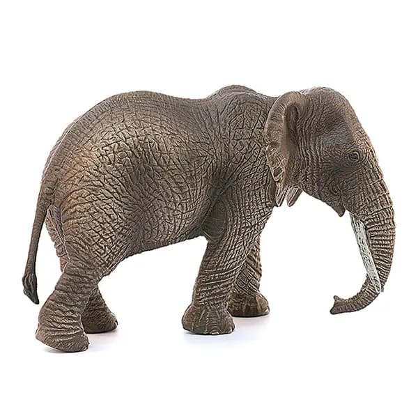 فیل آفریقایی ماده اشلایش Schleich — تصویر ۳