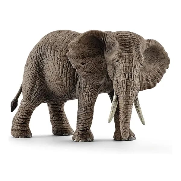 فیل آفریقایی ماده اشلایش Schleich