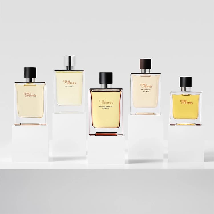 پرفیوم مردانه HERMES Terre d Hermes — تصویر ۴