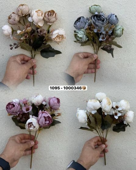 بوته پیونی ۵ بازو ( پک 12عددی)