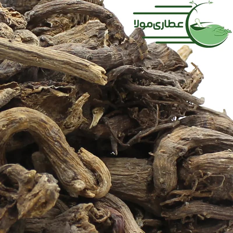 ریشه اکیناسه