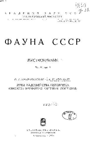 دانلود کتاب Жесткокрылые. Жуки надсемейства Histeroidea