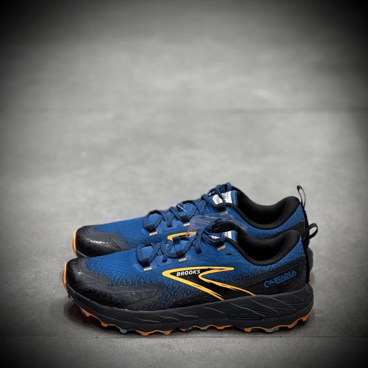 کتونی طبیعت گردی و پیاده رویی بروکس brooks cascadia 18