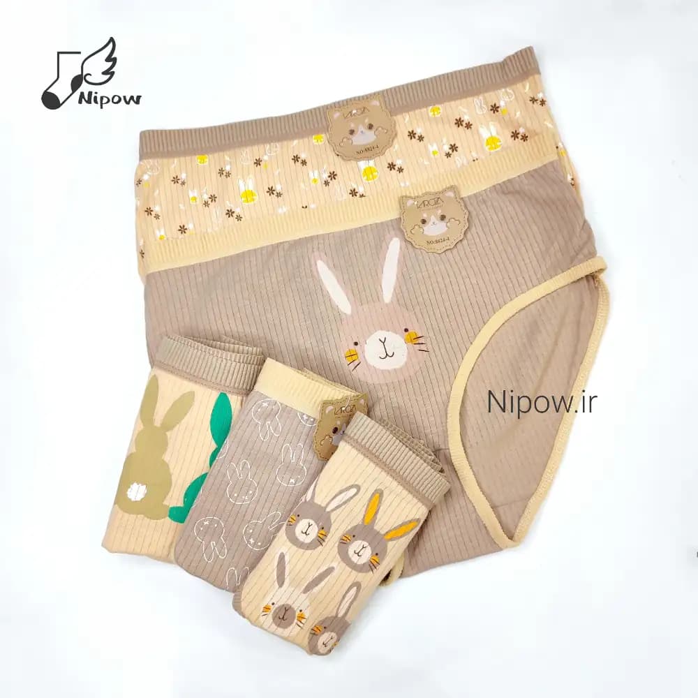 پک 5 عددی شورت زنانه XL