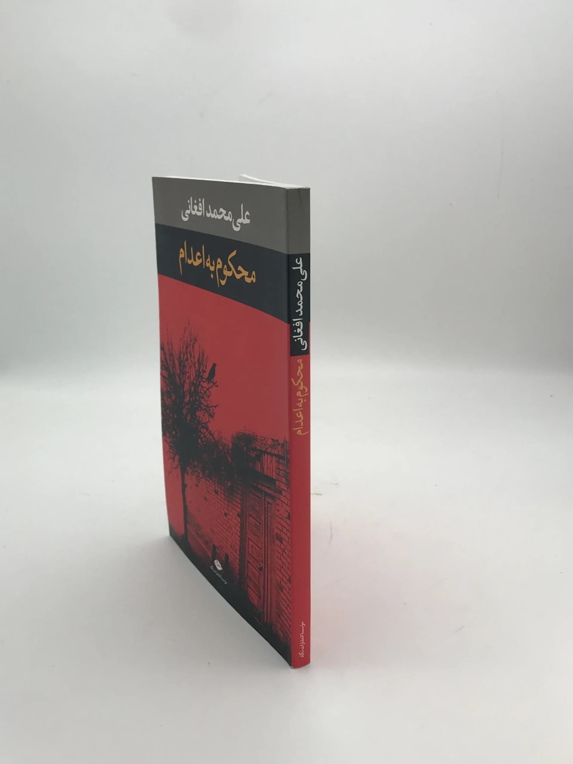 محکوم به اعدام نوشته علی محمد افغانی — تصویر ۳
