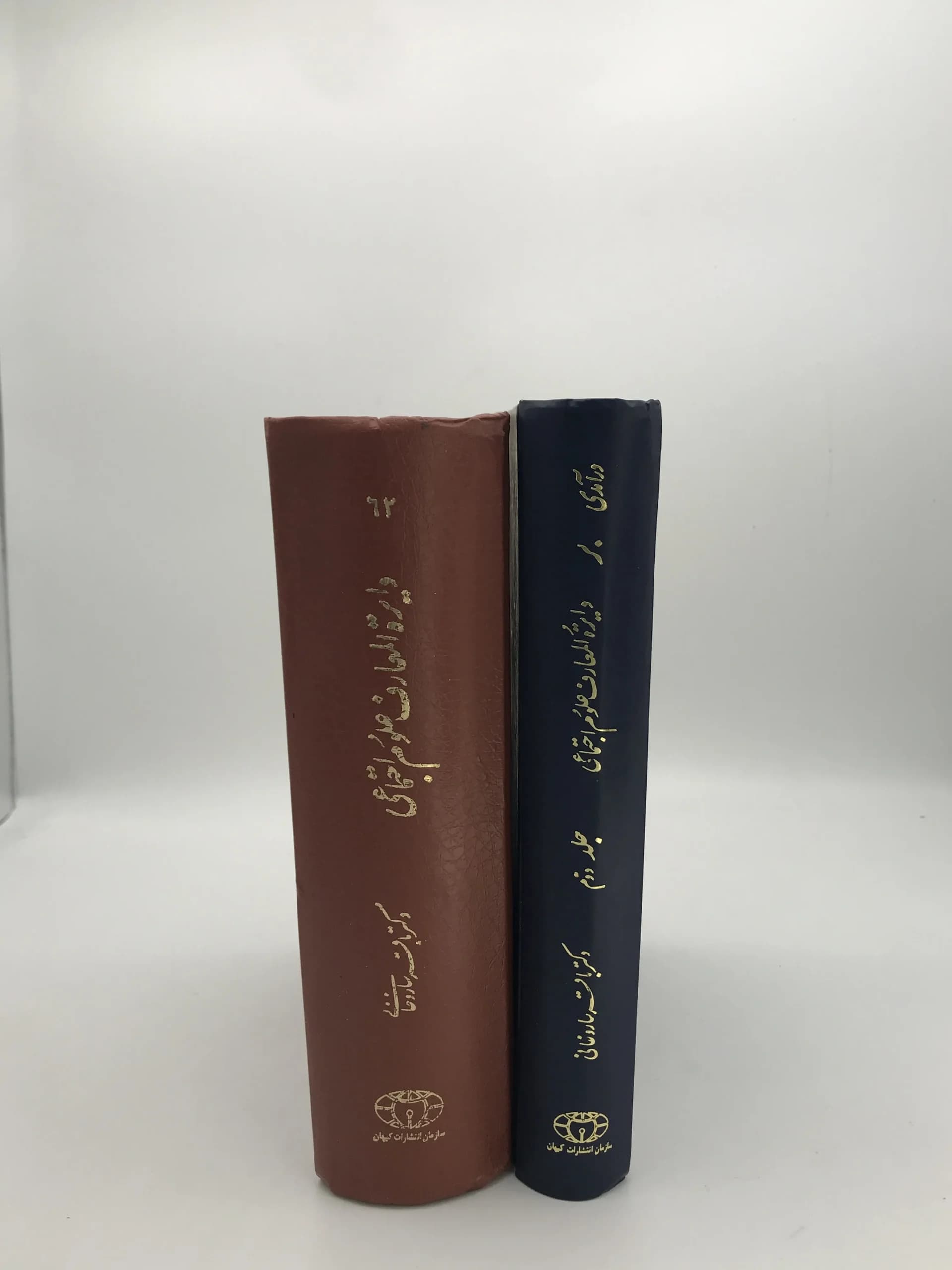 درآمدی بر دایره المعارف علوم اجتماعی نوشته باقر ساروخانی — تصویر ۳