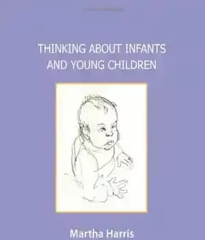دانلود کتاب Thinking About Infants and Young Children (Harris Meltzer Trust Series) – فکر کردن به نوزادان و کودکان خردسال…