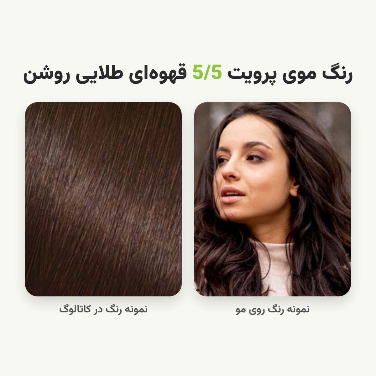 رنگ مو پرویت شماره 5/5 سری طلایی رنگ قهوه‌ای طلایی روشن حجم 120 میلی لیتر — تصویر ۲