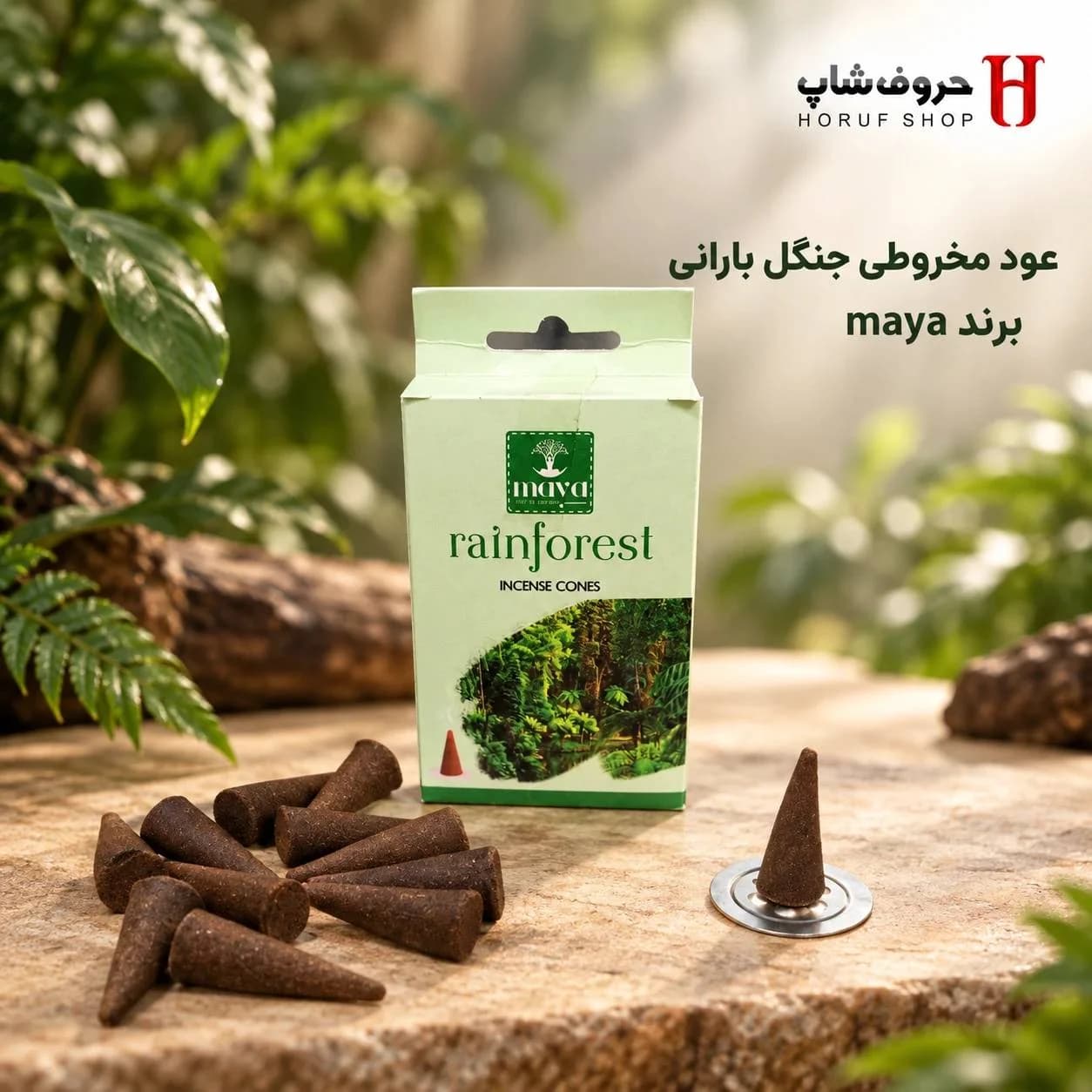 عود مخروطی جنگل بارانی مایا عود کلهقندی بدون چوب با رایحه خنک، سبز و طبیعت بارانخورده