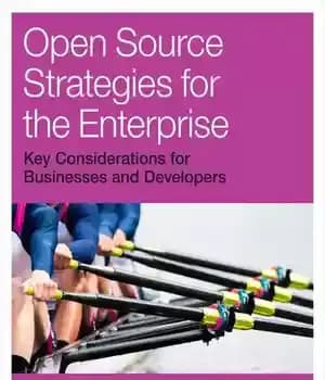 دانلود کتاب Open Source Strategies for the Enterprise