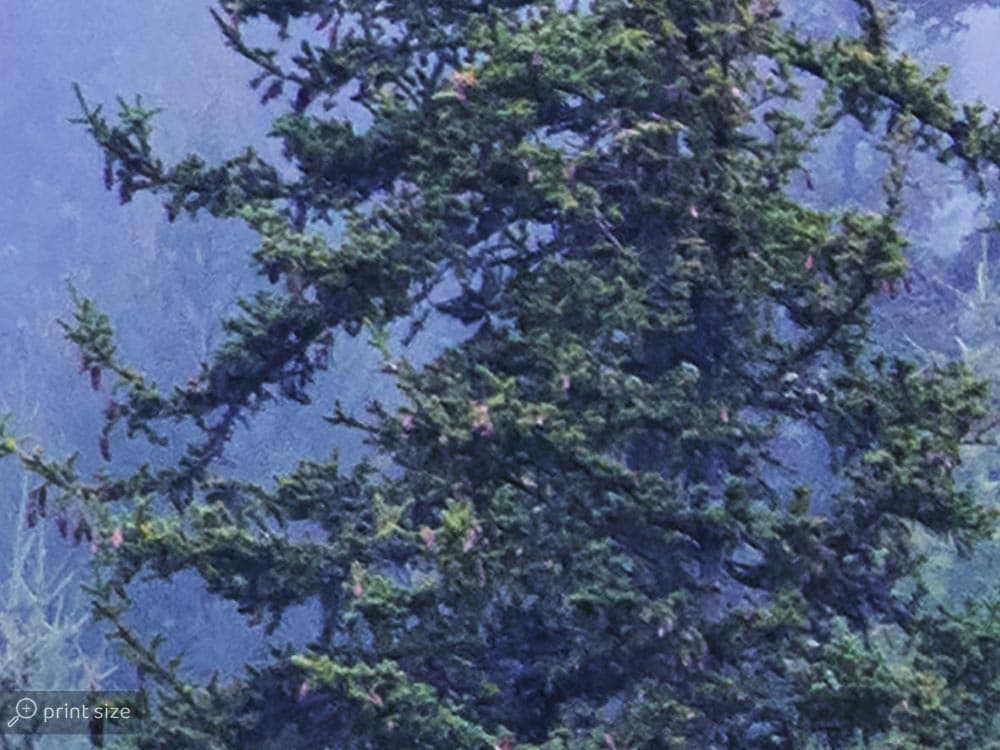 پوستر دیواری درخت جنگل W10056200 — تصویر ۴