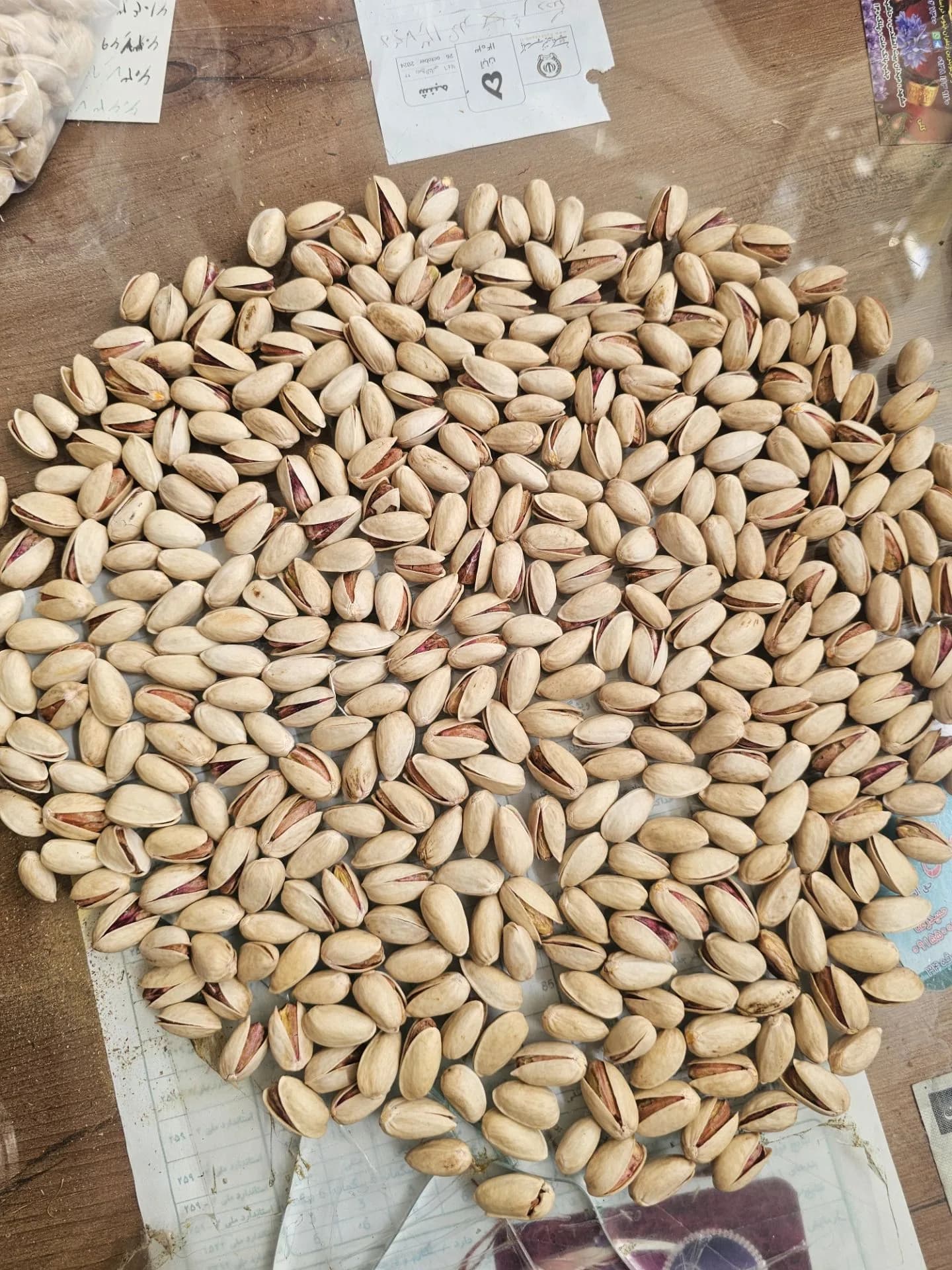 پسته سفید بادامی — تصویر ۲