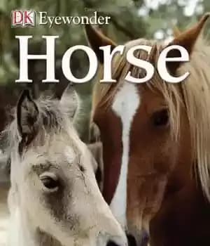 دانلود کتاب Horse (Eyewonder) – اسب (Eyewonder)