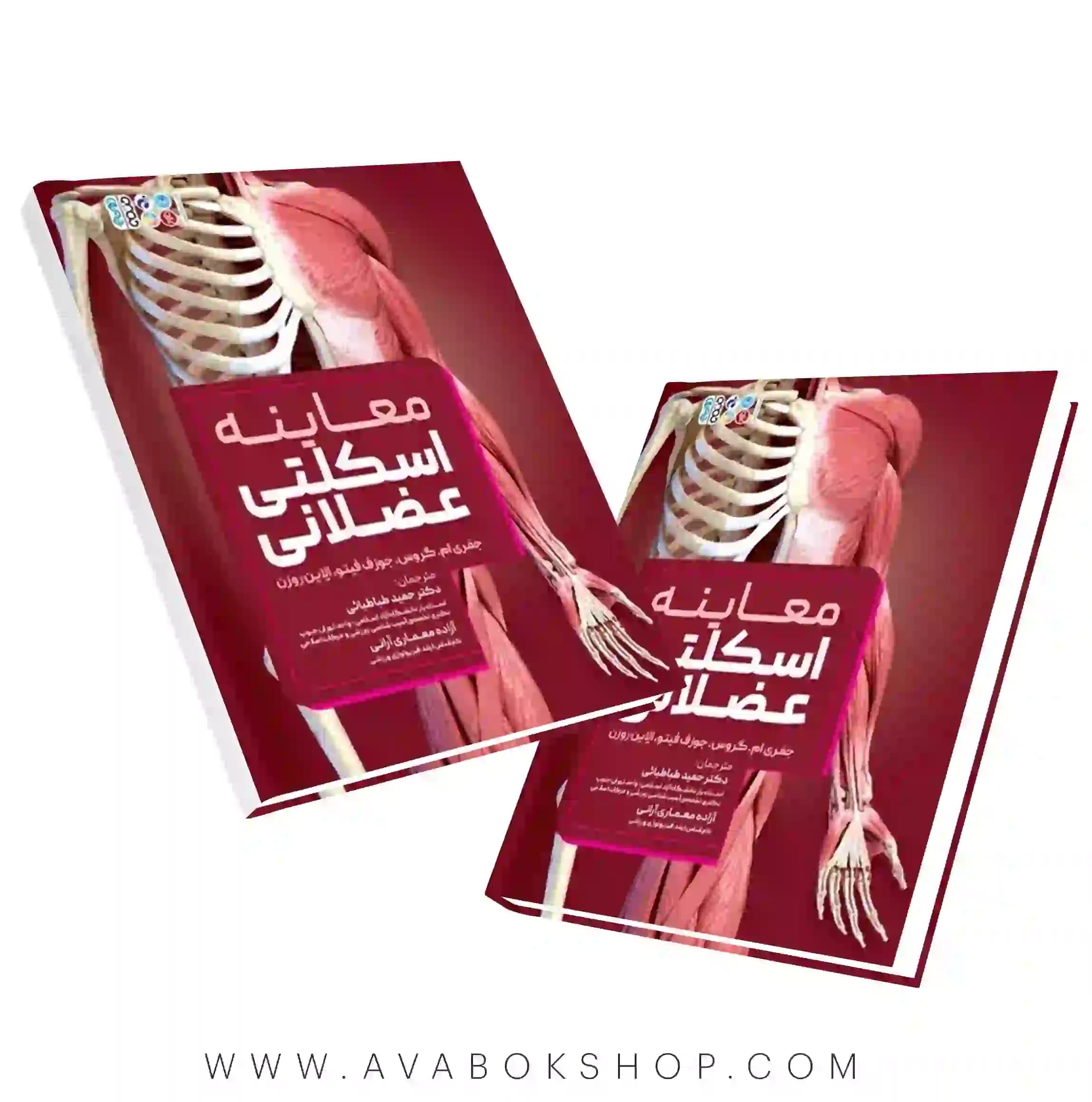 کتاب معاینه اسکلتی- عضلانی انتشارات حتمی — تصویر ۲