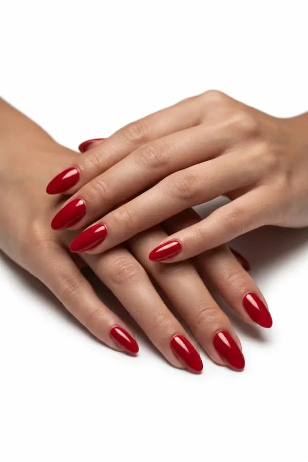 ست 10 عددی ناخن مصنوعی Easy Beauty