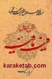 شرح کامل فیه مافیه